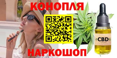 шишки Тверь