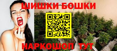 шишки Тверь