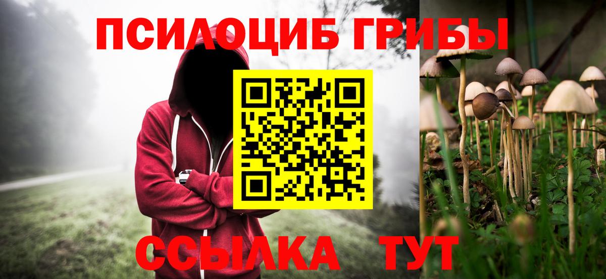 Псилоцибиновые грибы прущие грибы  Вход с VPN  Воронеж  Псилоцибиновые грибы мицелий 