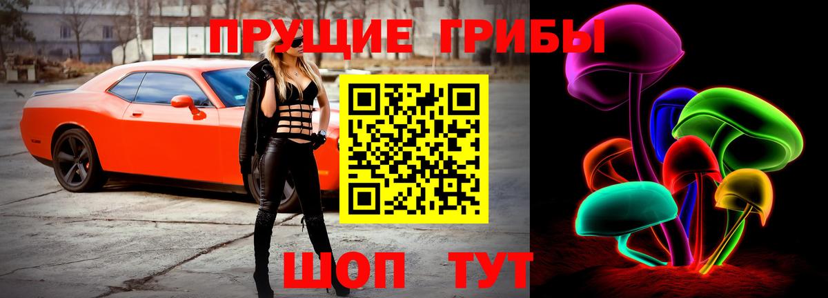 Псилоцибиновые грибы ЛСД Воронеж