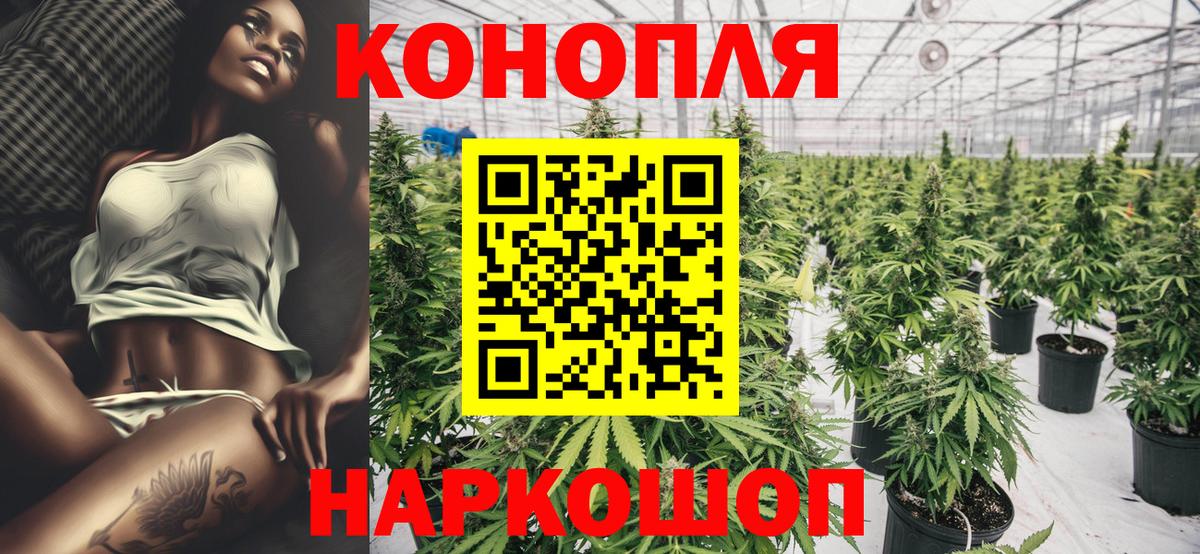 Канабис семена Воронеж